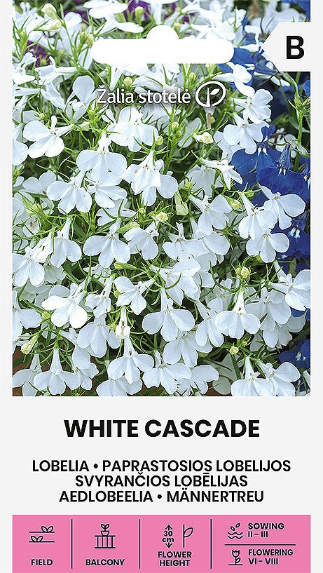 Hänglobelia White Cascade Frö